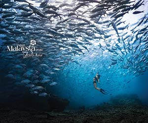 Vista-Malaysia-PR-v2