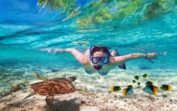 Maldív-szigetek / Sun Siyam Vilu Reef*****